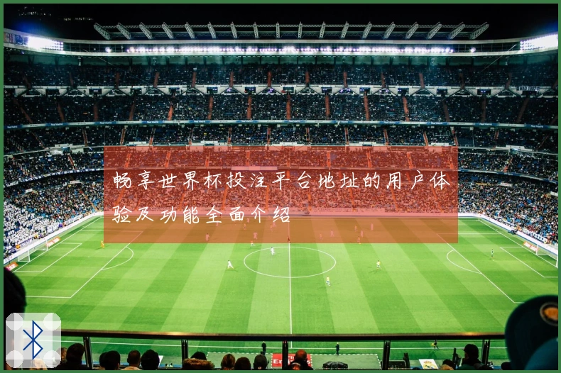 畅享世界杯投注平台地址的用户体验及功能全面介绍