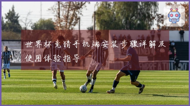 世界杯竞猜手机端安装步骤详解及使用体验指导
