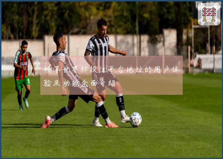 畅享世界杯投注平台地址的用户体验及功能全面介绍