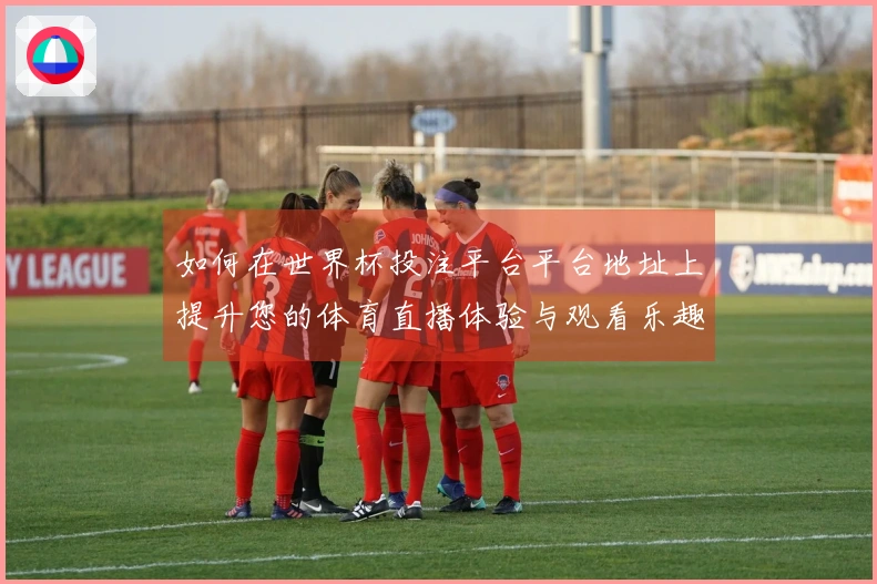 如何在世界杯投注平台平台地址上提升您的体育直播体验与观看乐趣
