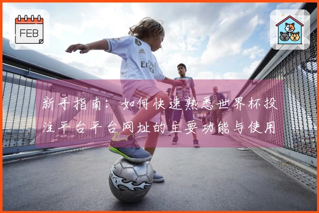 新手指南：如何快速熟悉世界杯投注平台平台网址的主要功能与使用体验