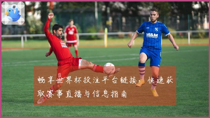 畅享世界杯投注平台链接，快速获取赛事直播与信息指南