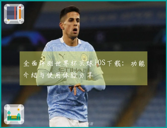 全面评测世界杯买球iOS下载：功能介绍与使用体验分享